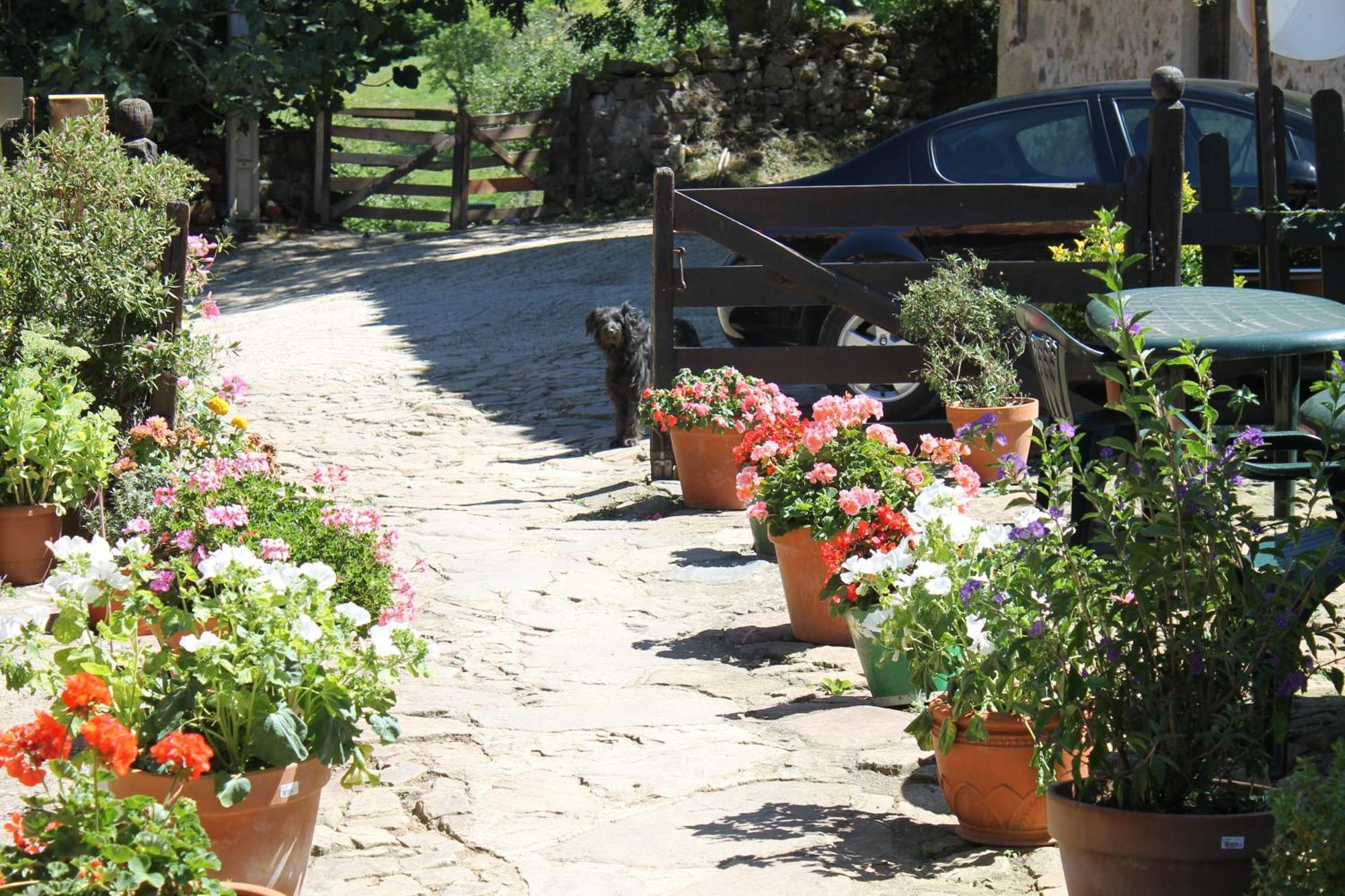 Pensjonat Casona De Trevino Cosgaya Zewnętrze zdjęcie